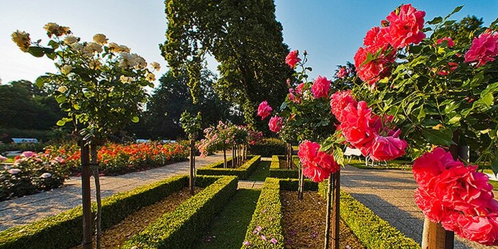 Zámek a zahrady Laxenburg a návštěva Slavnosti růží v Badenu v sobotu 9. 6.