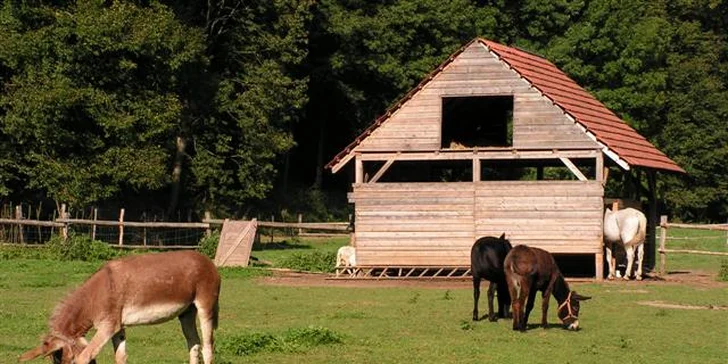 Božský klid jako u babičky: 2 noci ve skleněném apartmá, snídaně i sauna