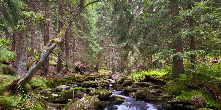 Léto v Krkonoších: pobyt s polopenzí 10 km od Stezky korunami stromů