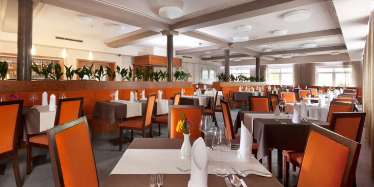 Stravování je v elegantní hotelové restauraci.