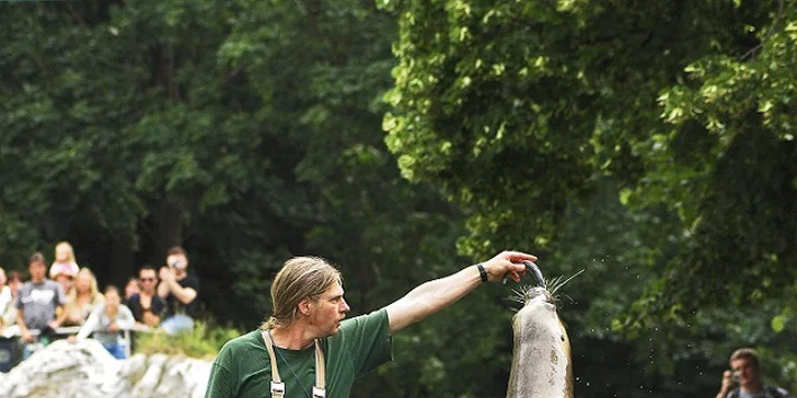 Vídeňská ZOO: lední medvědi, orangutani, pandy, koaly a mnoho dalších