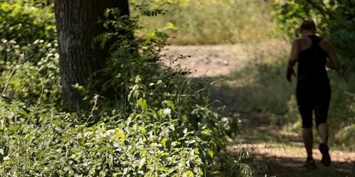 Účast na závodu Saper Cross: trasa přes 5 km, doprovodný program a tričko