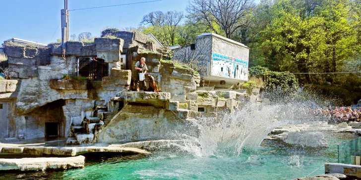 Vídeňská zoo: lední medvědi, orangutani, pandy, koaly a mnoho dalších