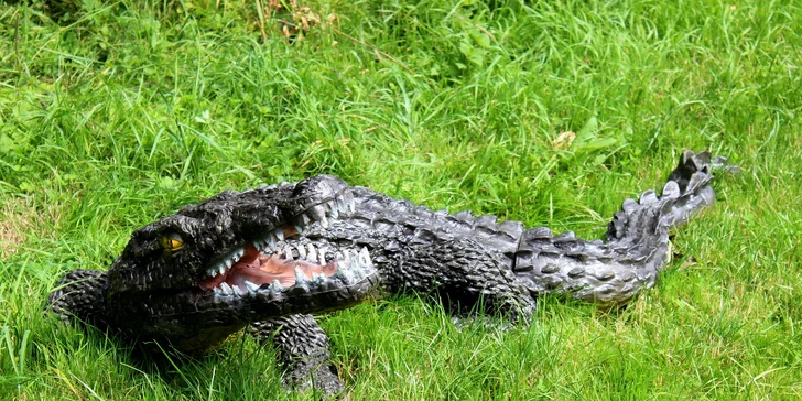Originální pobytové tábory na Borku: s odvozem i přívozem pro vaše děti