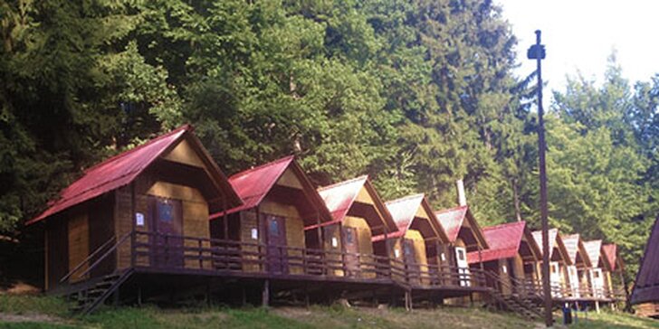 Originální pobytové tábory na Borku: s odvozem i přívozem pro vaše děti