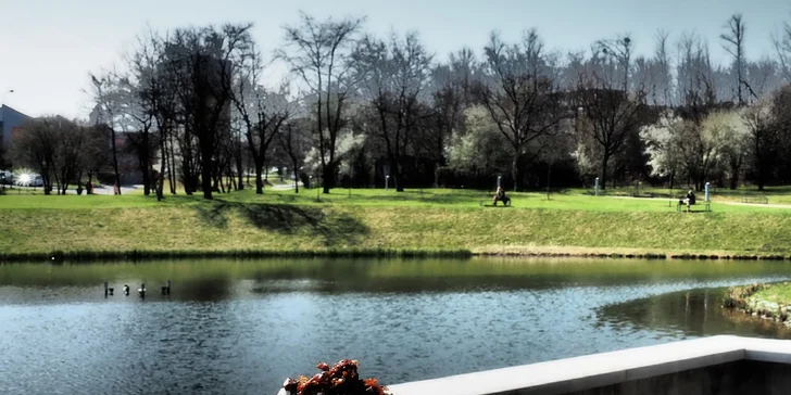 3chodové menu u jezírka: rajčátka s pestem, panenka a limetkový dezert