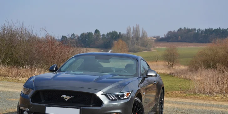 Řidičem nebo spolujezdcem ve Ford Mustang GT 5.0 rv. 2017 - až na 24 hodin