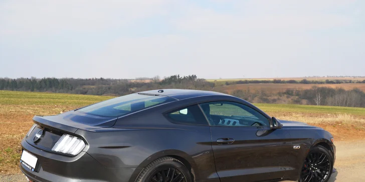 Řidičem nebo spolujezdcem ve Ford Mustang GT 5.0 rv. 2017 - až na 24 hodin