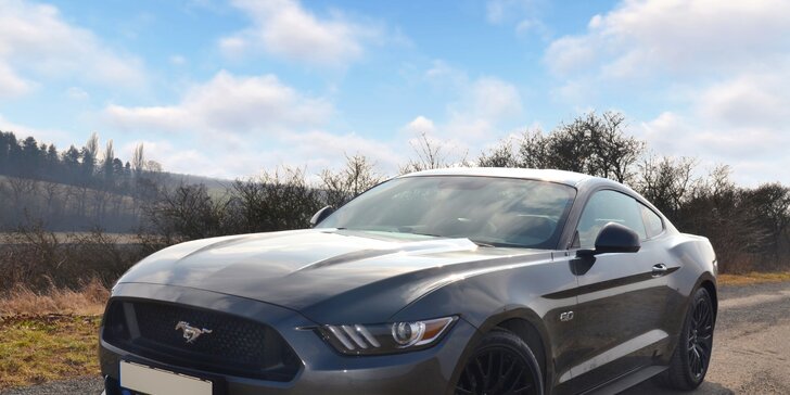 Řidičem nebo spolujezdcem ve Ford Mustang GT 5.0 rv. 2017 - až na 24 hodin