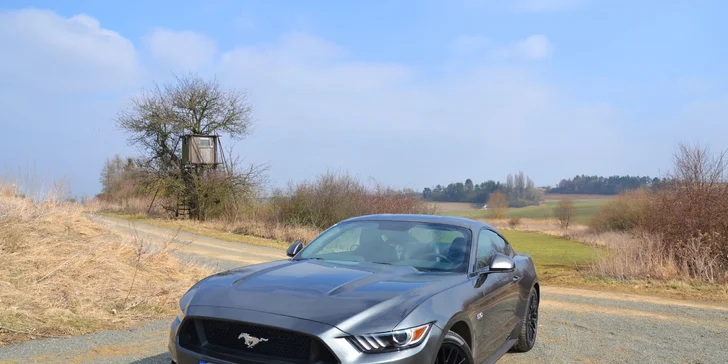 Řidičem nebo spolujezdcem ve Ford Mustang GT 5.0 rv. 2017 - až na 24 hodin