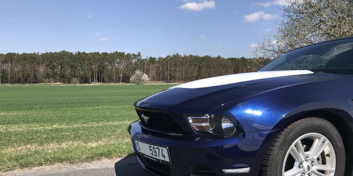Adrenalin pod stromeček : půjčte si Ford Mustang na den i na víkend