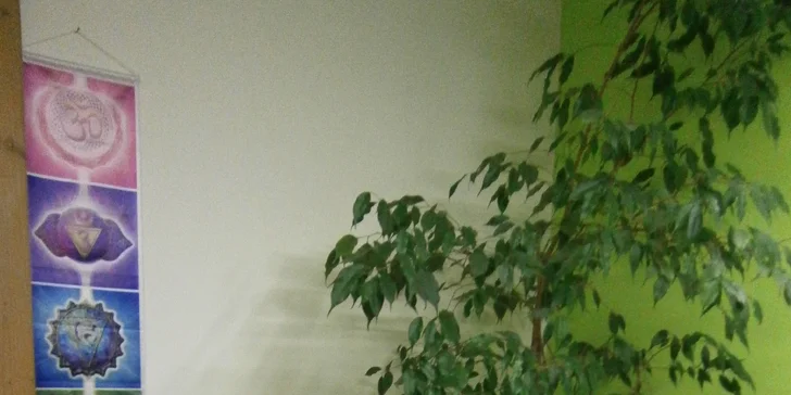 Čínské masáže Tui Na podle výběru: záda, celé tělo i baňkování
