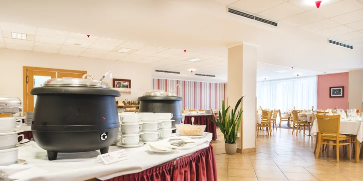 Letní dovolená v Posázaví pro pár nebo rodinu: polopenze i zábava v areálu