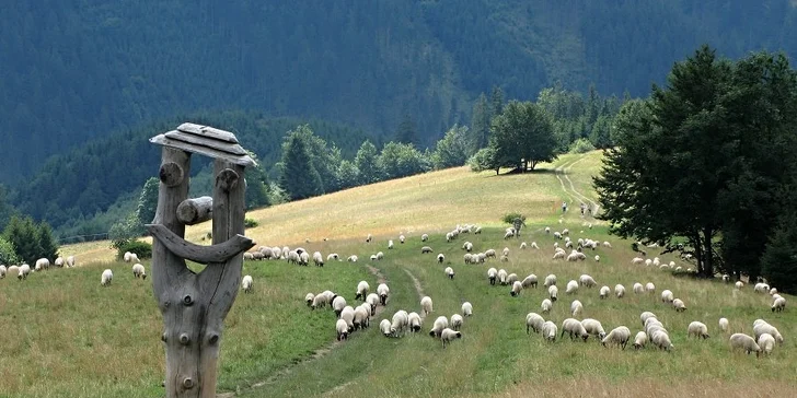 Aktivní dovolená v zimě nebo na jaře v Beskydech s polopenzí