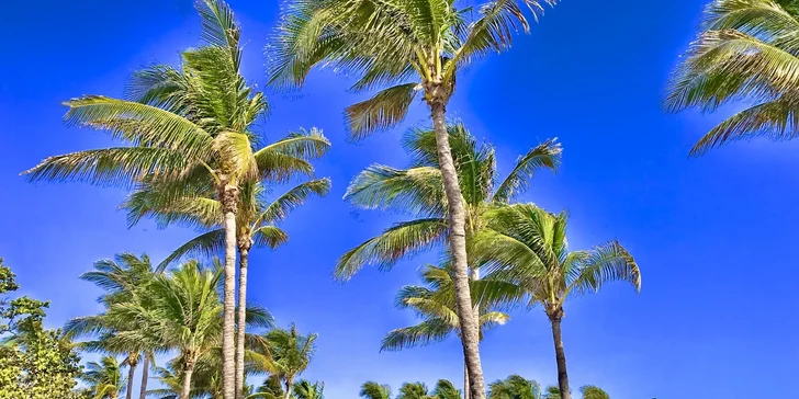 Letecký zájezd na Floridu: 5 nocí na Miami Beach, rajské klima, palmy a moře