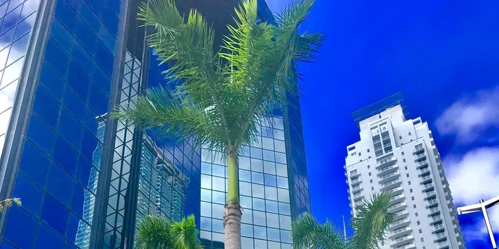 Utečte zimě do tropického ráje: záloha na 9 nocí v Miami Beach vč. letenky
