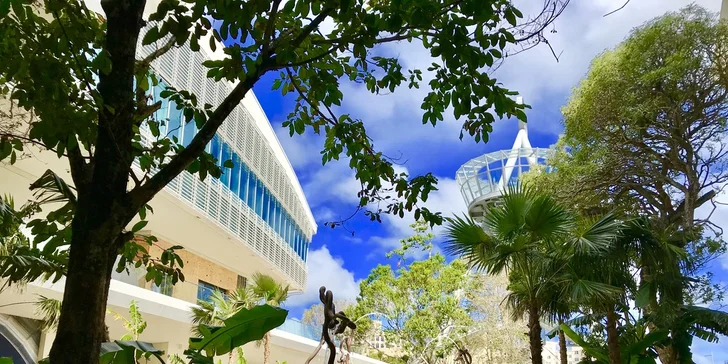 Utečte zimě do tropického ráje: záloha na 9 nocí v Miami Beach vč. letenky