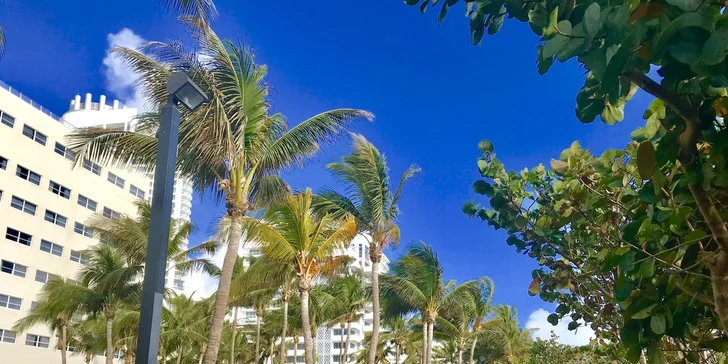 Utečte zimě do tropického ráje: záloha na 9 nocí v Miami Beach vč. letenky
