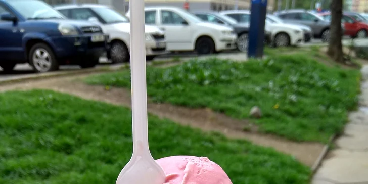 3 nebo 6 kopečků zmrzliny kousek od centra Brna v kočičí kavárně