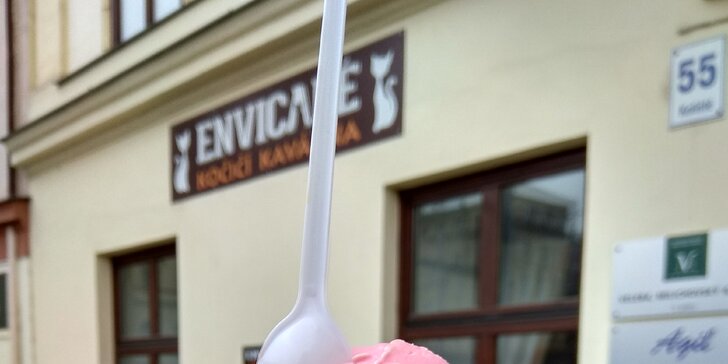 3 nebo 6 kopečků zmrzliny kousek od centra Brna v kočičí kavárně