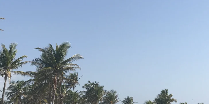 Utečte zimě do tropického ráje: záloha na 9 nocí v Miami Beach vč. letenky