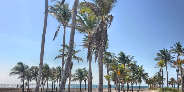 Utečte zimě do tropického ráje: záloha na 9 nocí v Miami Beach vč. letenky