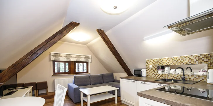 Některé apartmány mají i kuchyňský kout.
