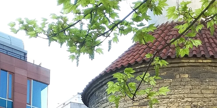 Fyzioterapeutické vyšetření a 45 minut cvičení na čerstvém vzduchu