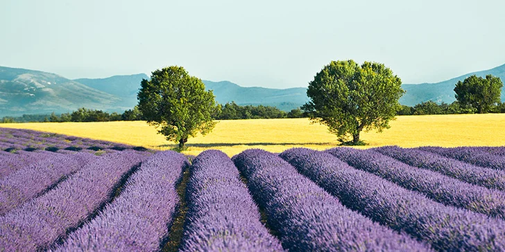 Červnový zájezd do slunné Provence: 7x nocleh v mobilhomu, průvodce