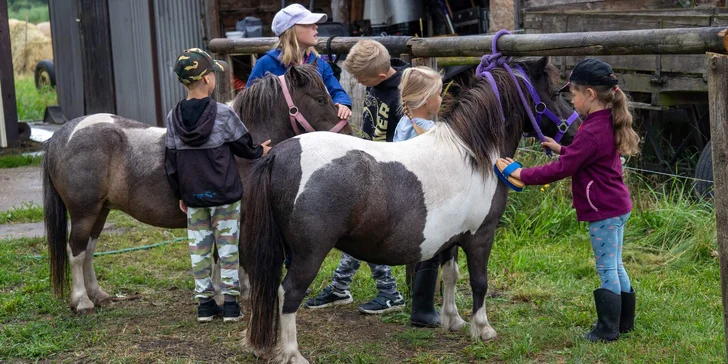 Děti od 2,5 do 7 let budou moci poníka napást, vyčistit a vyzkoušet si další věci spojené s jeho chovem. 