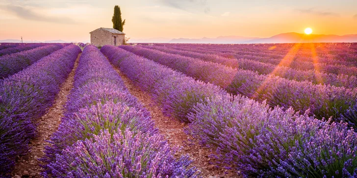 Červnový zájezd do slunné Provence: 7x nocleh v mobilhomu, průvodce