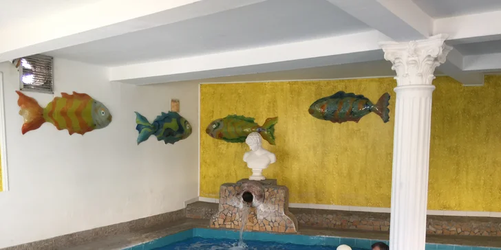 Ischia s výlety: 7 nocí s polopenzí, doprava vč. trajektu, 5 minut od pláže