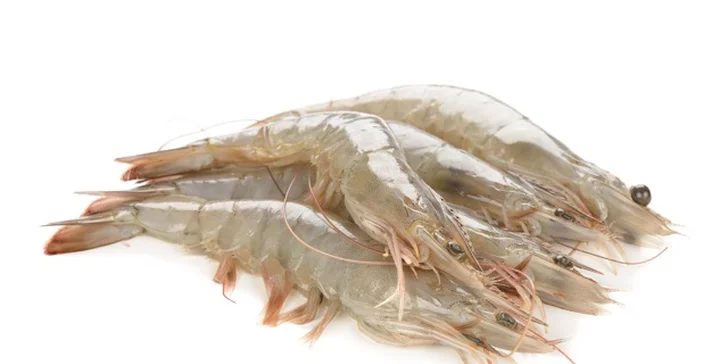 Krevety mají 10 až 11 cm a jedna váží 25 až 35 g. 