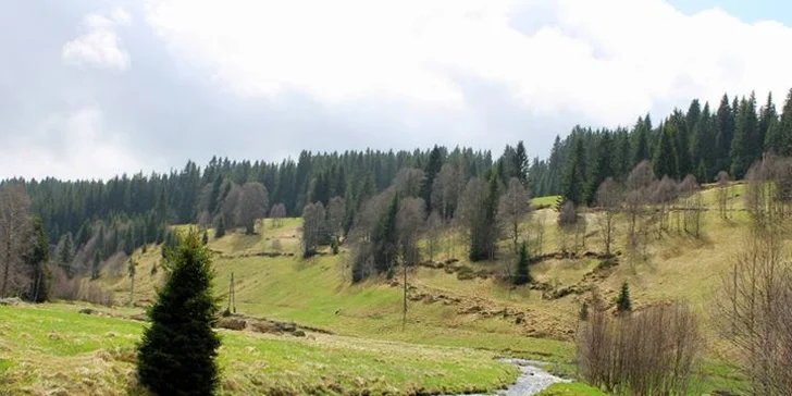 2 nebo 5 nocí na Kvildě. Včetně bazénu i polopenze