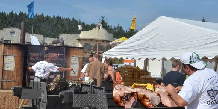 Dvě vstupenky na Festival lásky: Leoš Mareš, Ewa Farna a další v Šiklandu