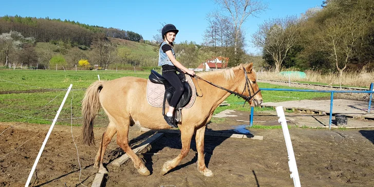 Víkendová hodina jízdy na koni pod dohledem instruktora