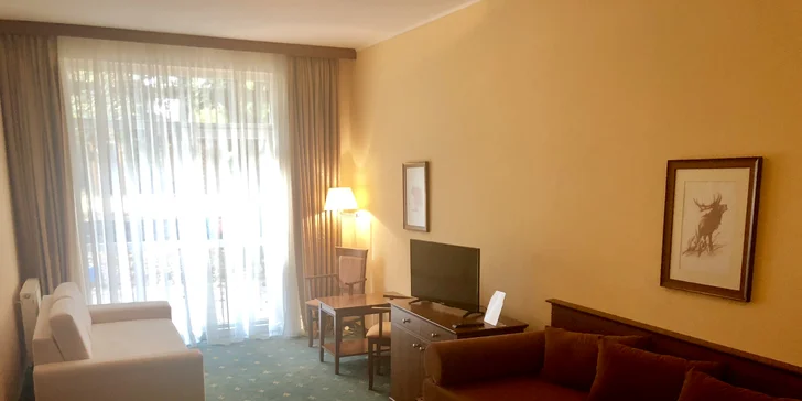 Vybrat můžete i apartmán, jeho součástí je navíc terasa.