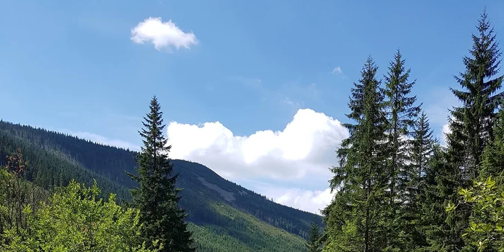 Letní pohodový pobyt v Krkonoších: Turistika, výlety a ubytování s polopenzí