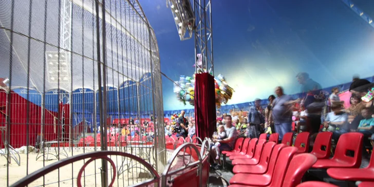 Vstupenky na originální cirkusovou show: Karel Berousek uvádí cirkus Sultán