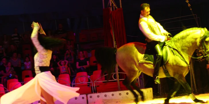 Vstupenky na originální cirkusovou show: Karel Berousek uvádí cirkus Sultán