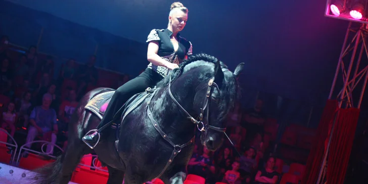 Vstupenky na originální cirkusovou show: Karel Berousek uvádí cirkus Sultán