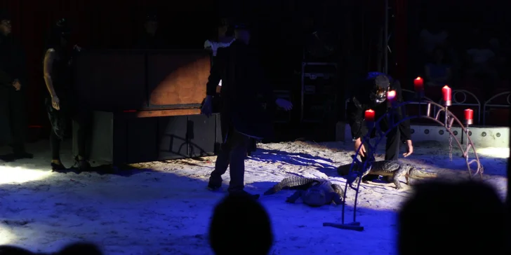 Vstupenky na originální cirkusovou show: Karel Berousek uvádí cirkus Sultán