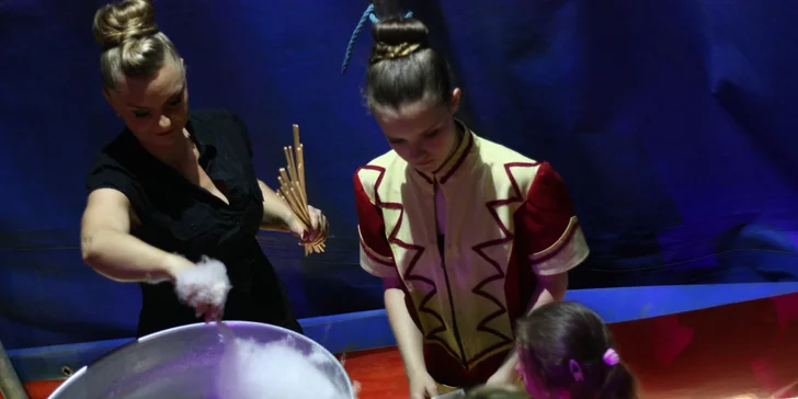 Vstupenky na originální cirkusovou show: Karel Berousek uvádí cirkus Sultán