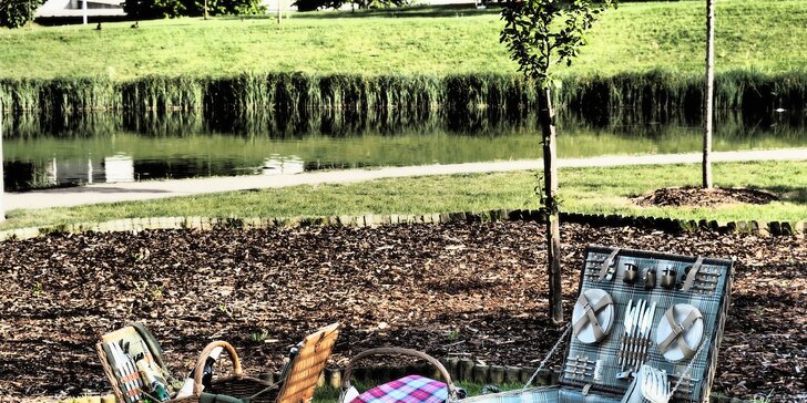 Piknik s výhledem na jezero: koš plný dobrot, případně i láhev vína