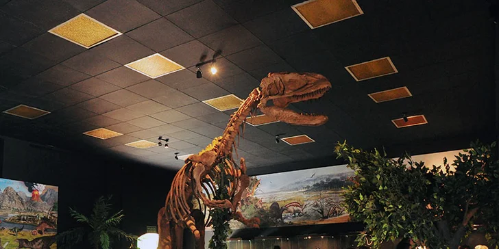 Navštivte park plný dinosaurů a zábavy: 2denní vstup do polského Zatorlandu