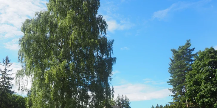 Rodinný pobyt uprostřed magických Jeseníků se snídaní i koloběžkami