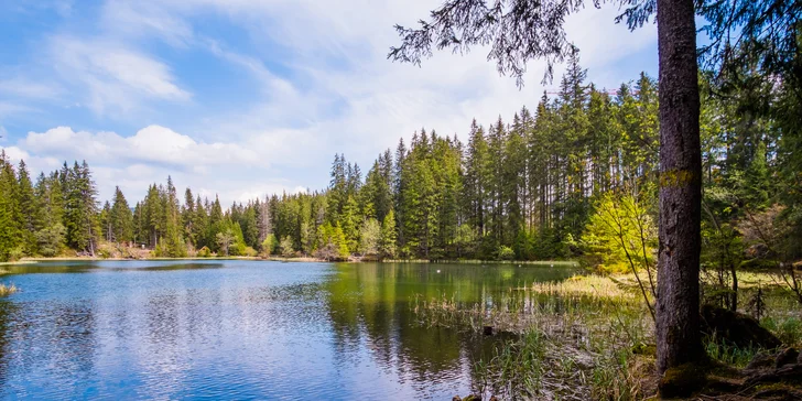 Stylová horská chata v Nízkých Tatrách: 2–5 nocí s polopenzí a wellness