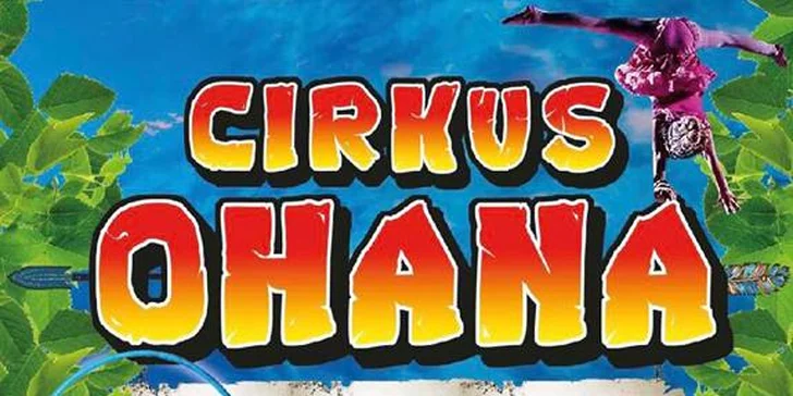 Den dětí v cirkusu: malování na obličej, žonglování, show, lachtani i slonice