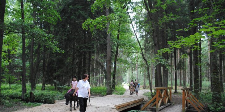 5 dní v přírodě: Letní příměstský jezdecký tábor u koní u Stříbrného rybníku