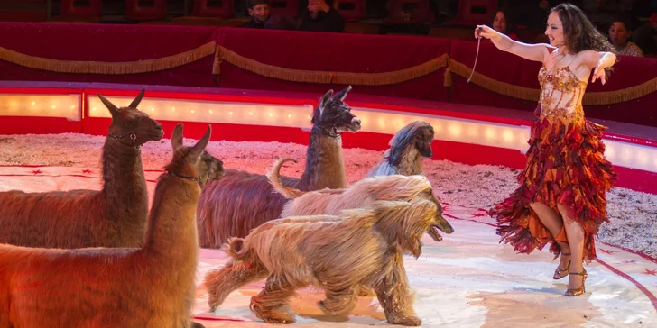 Užijte si pořádnou show cirkusu Bernes v Dobříši a Příbrami